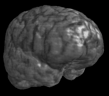3d brain loaded from a VRML file