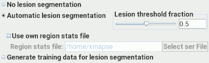 Specifying that lesion segmentation should be done
