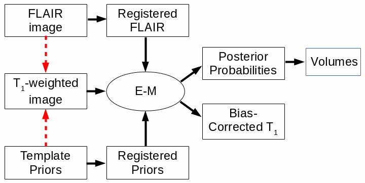 The flow chart for cross-sectional brain atrophy assessment