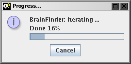 brain_finder_progress