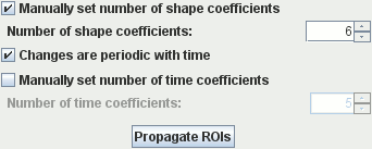 The propagation options for the ROI propagation tool
