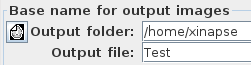 Setting the output images base name for the Brain Atrophy tool