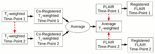 The flow chart for part 1 of the longitudinal brain atrophy
                       assessment