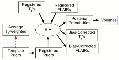 The flow chart for part 2 of the longitudinal brain atrophy
                       assessment