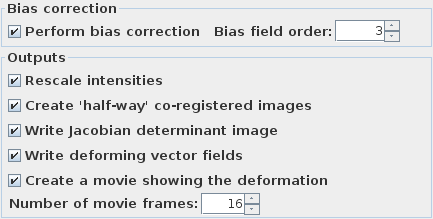 Diffeomorphic registration output settings