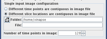 dynamic_input_setup_single_input