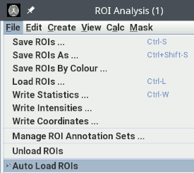 file_auto_load_rois