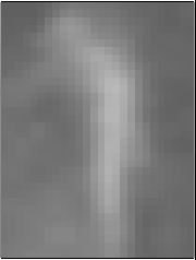 nearest neighbour interpolation
