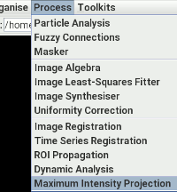 Starting the maximum intensity projection tool