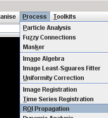 Launching the ROI Propagation tool