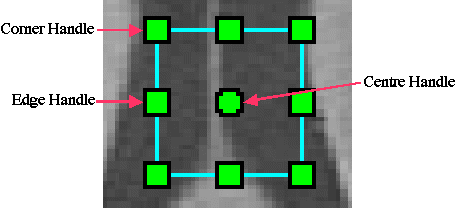 rectangular_roi_handles