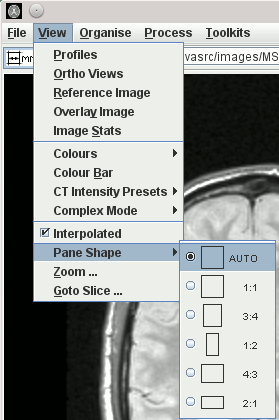 view_pane_shape